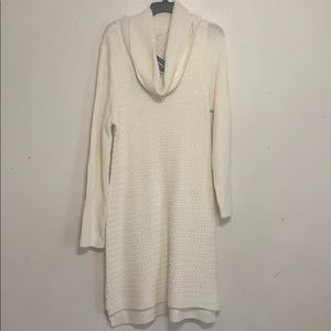 Turtle Sweater Dress